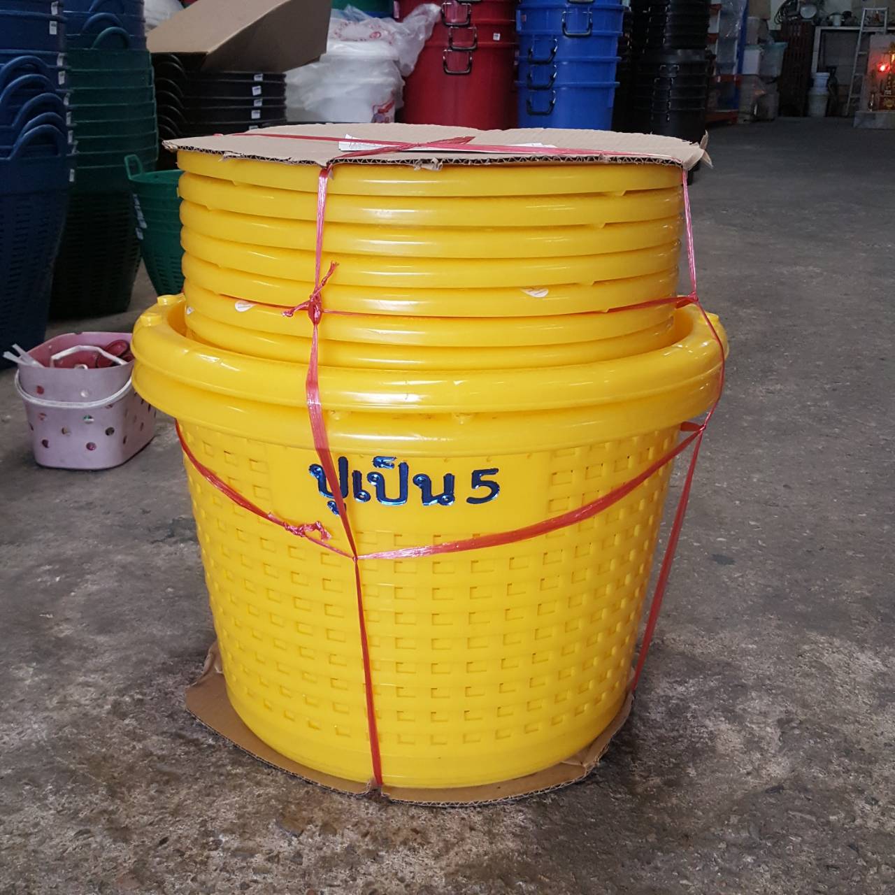 หลัวโปร่ง 005