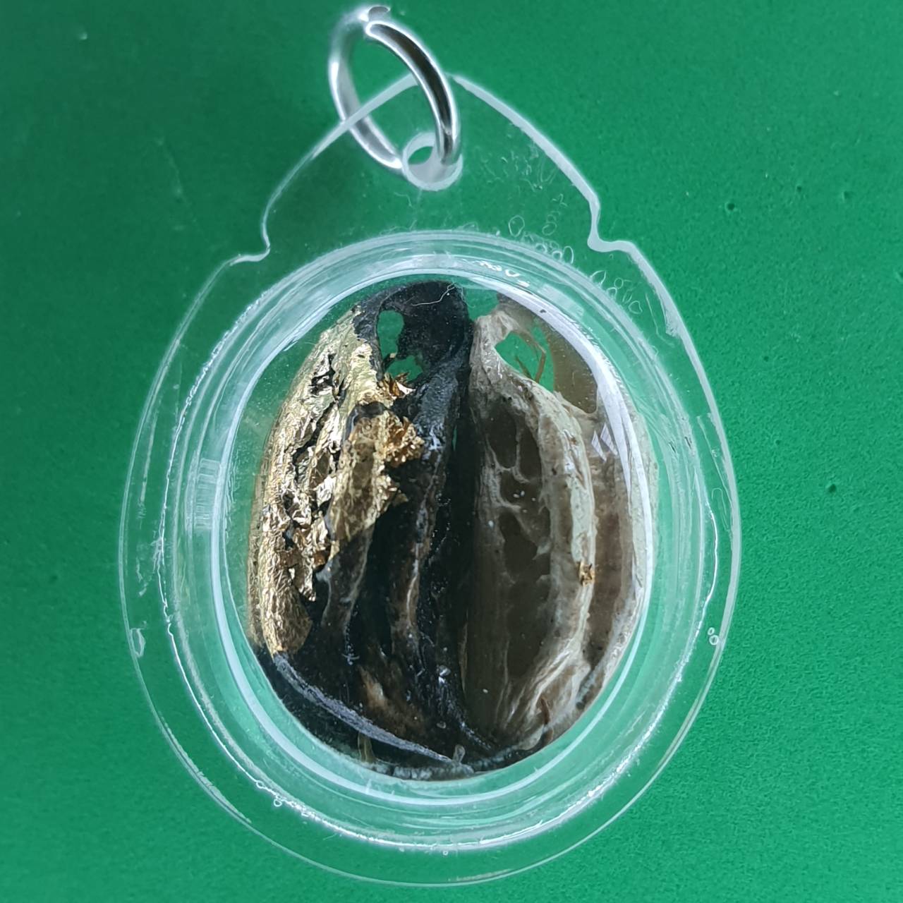 ของป้องกัน เล็บครุฑแบบกรอบคู่ไม่ใส่น้ำมัน สีธรรมชาติ สีดำและสีขาว เล็บครุฑ ของแท้ เล็บพญาครุฑ ผลเล็บครุฑ