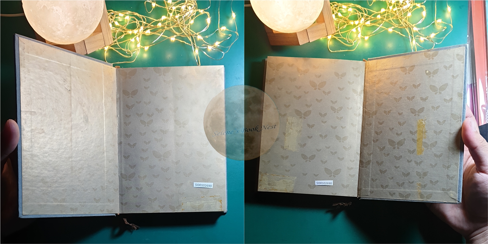 ชุดประดาน้ำและผีเสื้อ (Le Scaphandre Et Le Papillon) / Jean-Dominique Bauby (ฌ็อง-โดมินิก โบบี้)