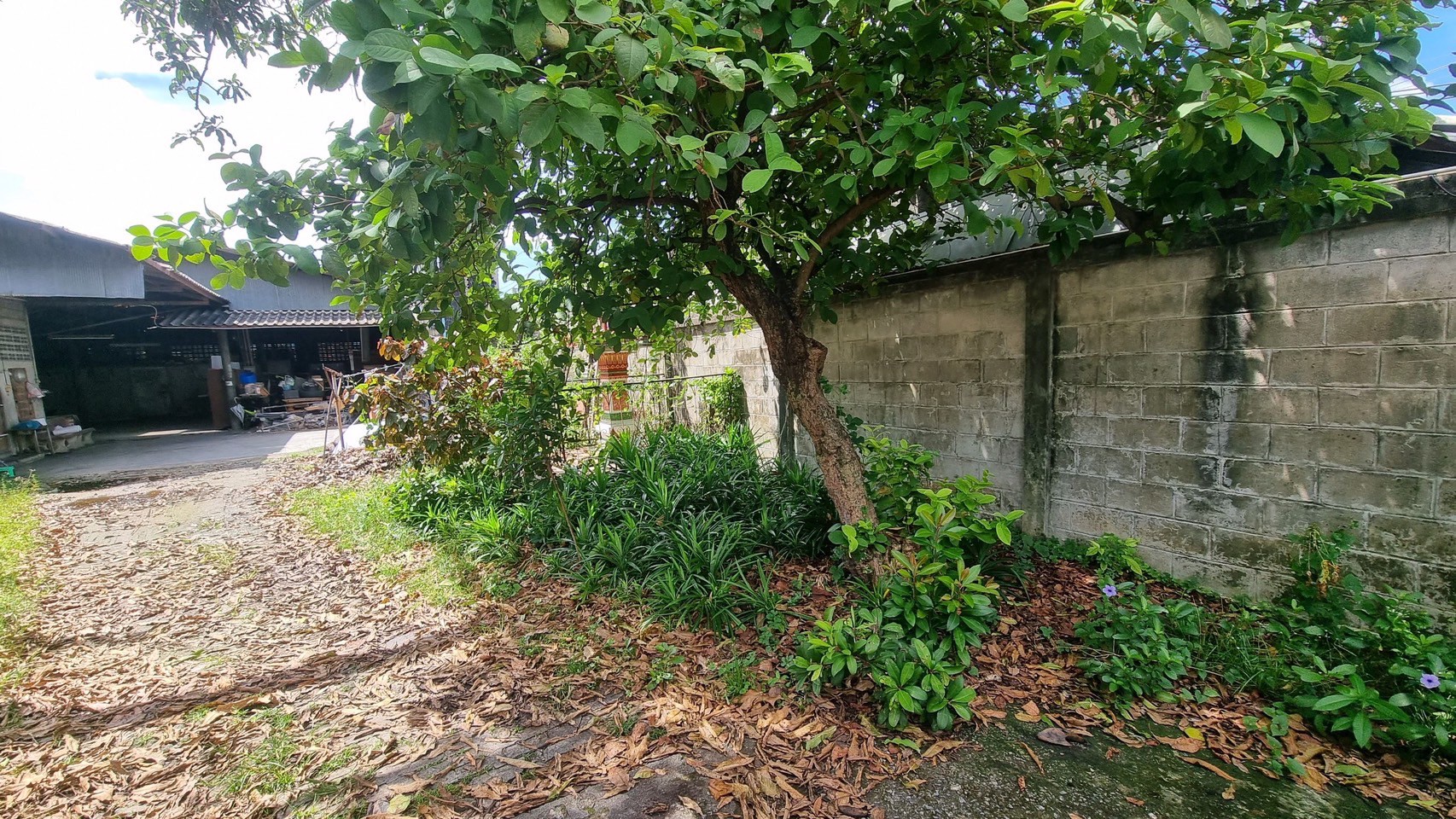 For Sales : Phuket Town, Land near Central Phuket, 138 sqw.