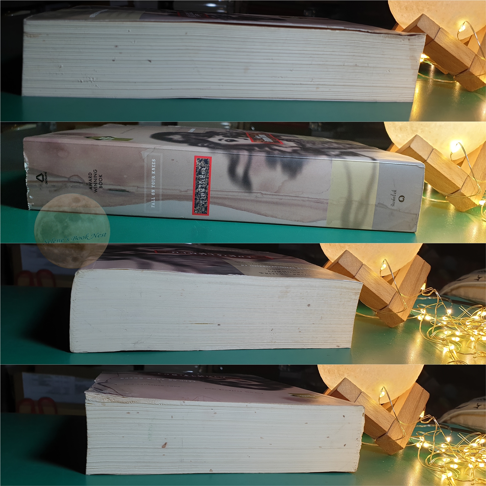 ภาพที่ไร้เสียง (Fall on your knees) / Ann-Marie MacDonald (แอน-มารี แมคโดนัลด์)