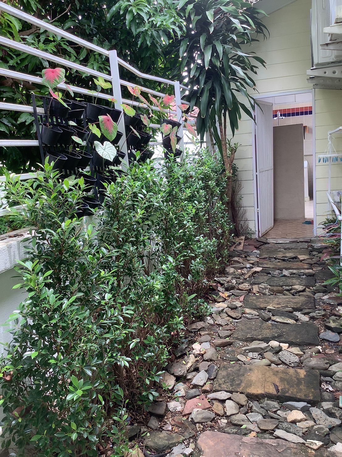 For Rent : Thalang, One-Story detached house, 4 Bedrooms 2 Bathrooms