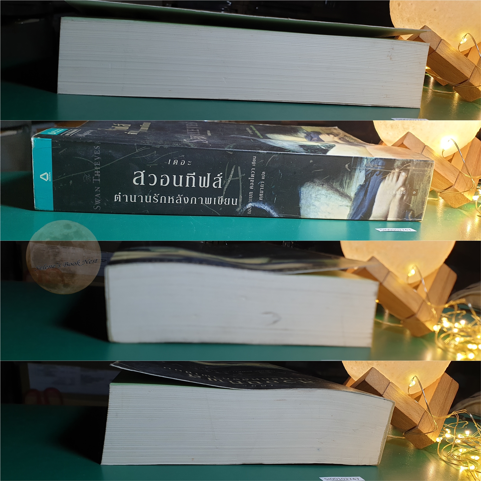 เดอะสวอนทีฟส์ ตำนานรักหลังภาพเขียน (The Swan Thieves) / Elizabeth Kostova (เอลิซาเบท คอสโตวา)