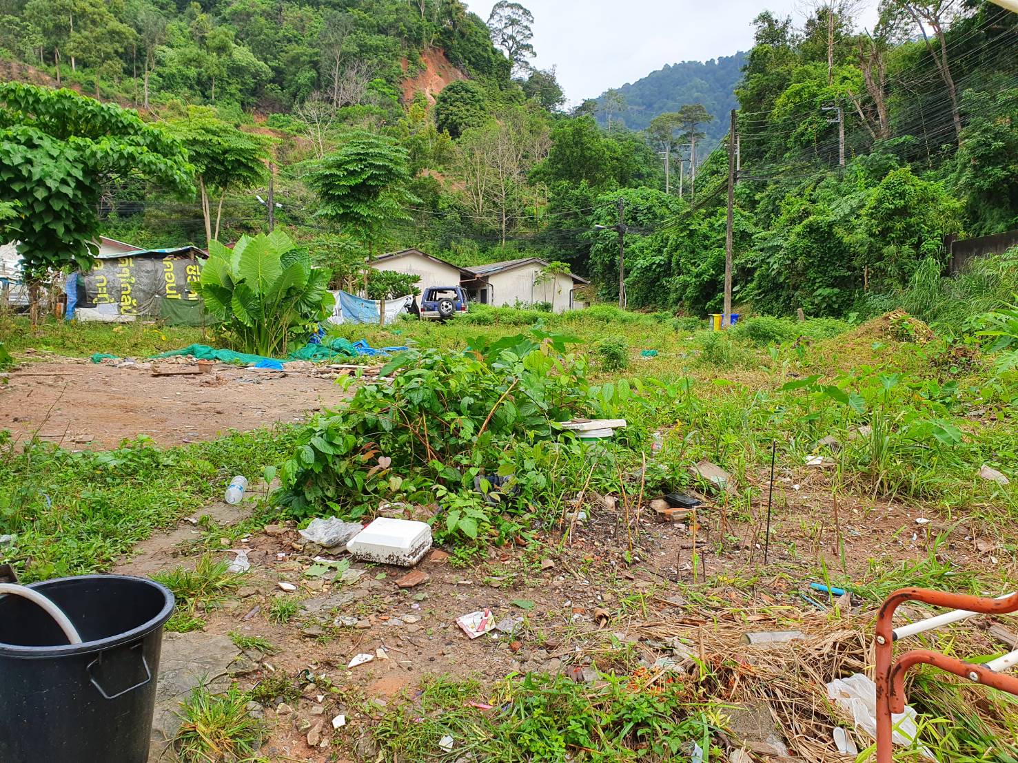 For Sales : Land Kathu, Near Patong , 70 SQ.W.