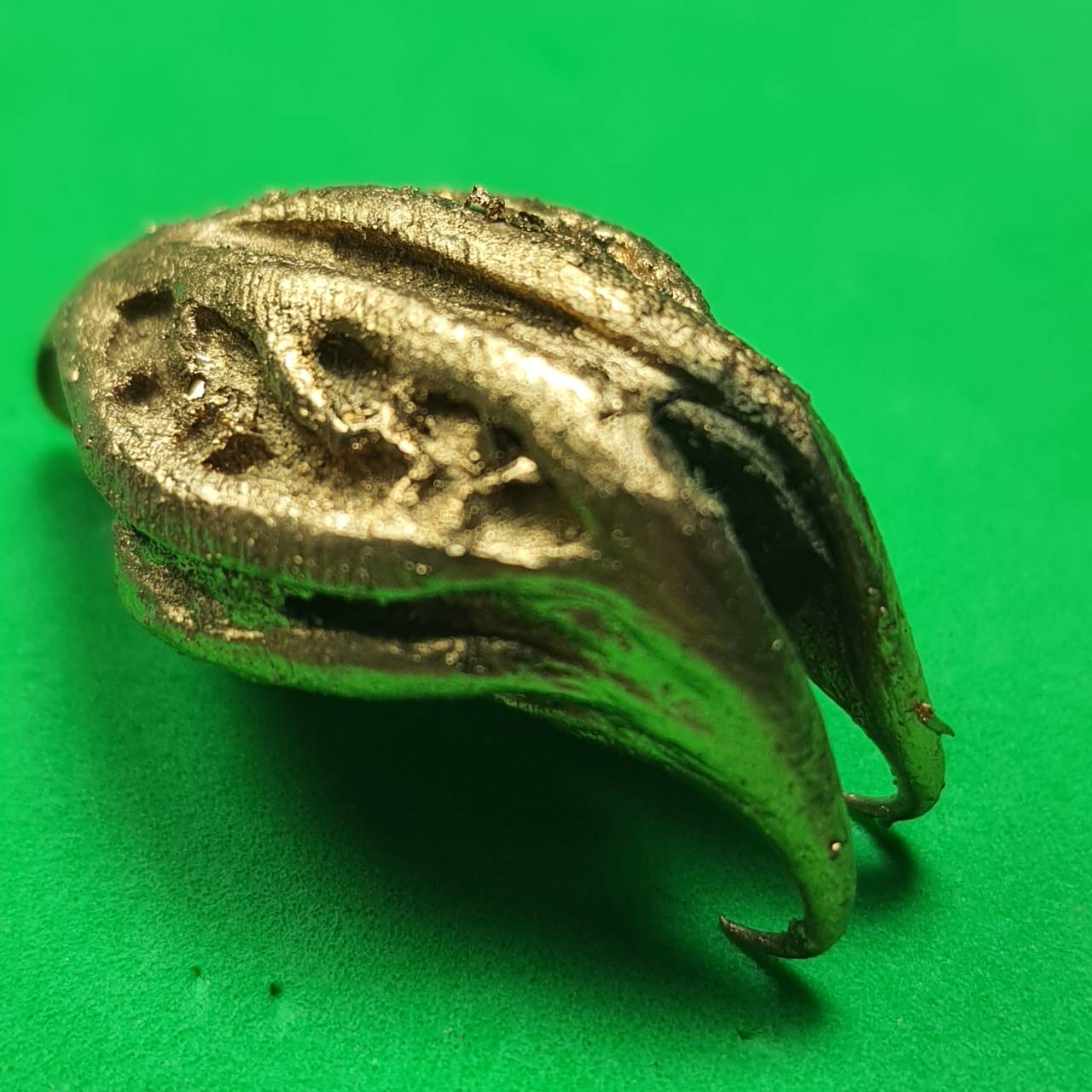 ของป้องกัน พญาเล็บครุฑ สีนาค ป้องกันภัย เพิ่มอำนาจ เกี่ยวเงินทอง เล็บครุฑ เล็บพญาครุฑ ผลเล็บครุฑ