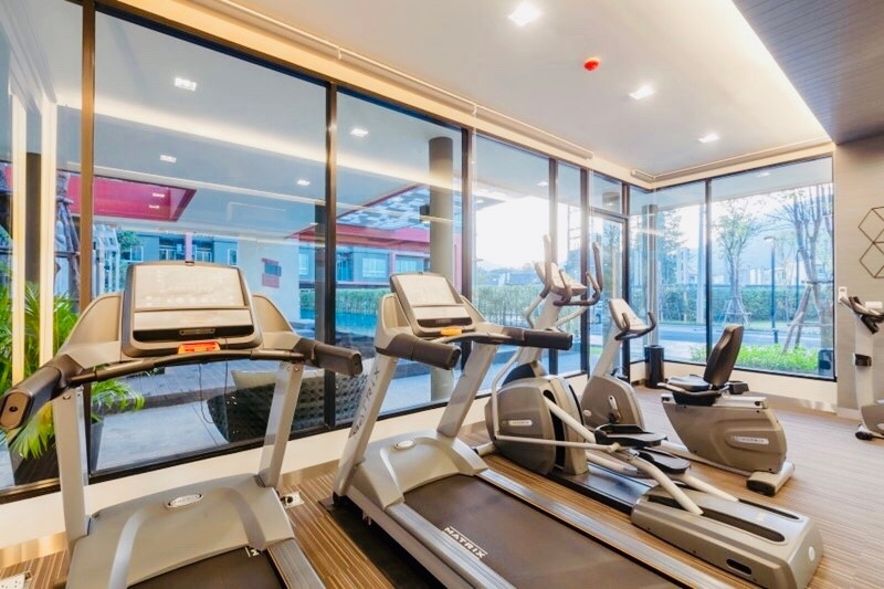 For Rent : Dcondo Kathu Patong 6th 1 Bedroom 1 Bathroom