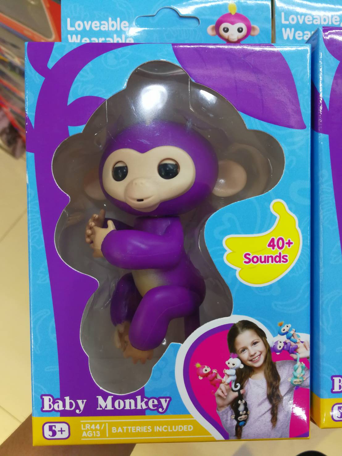 ลิงเกาะนิ้ว Fingerlings Baby Monkeys เกรด AA