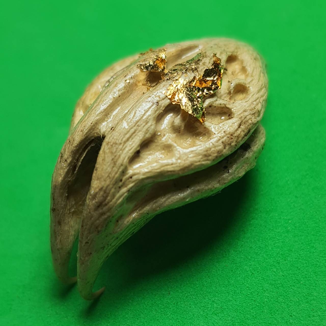 ของป้องกัน พญาเล็บครุฑ สีขาว ป้องกันภัย เพิ่มอำนาจ เกี่ยวเงินทอง เล็บครุฑ เล็บพญาครุฑ ผลเล็บครุฑ