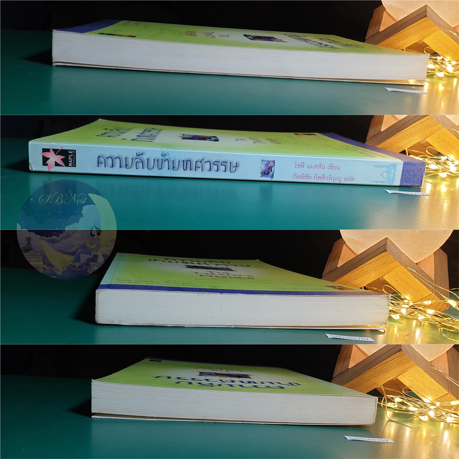 ความลับข้ามทศวรรษ (The Tyrant's Nephew) / Sophie Masson (โซฟี แมสสัน)