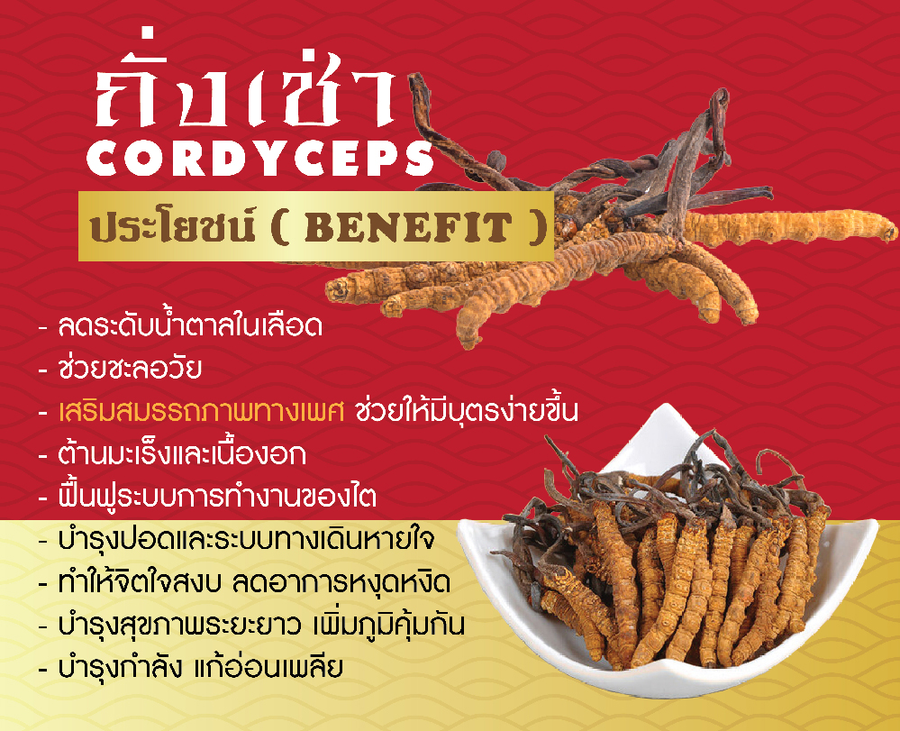 ถังเช่า