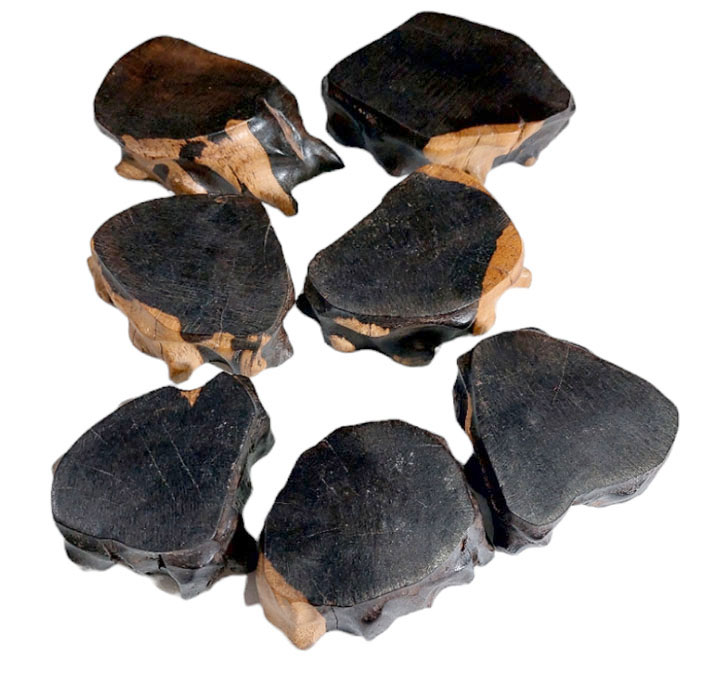 ฐานไม้มะเกลือแอฟริกันเล็กๆ--BPT931--