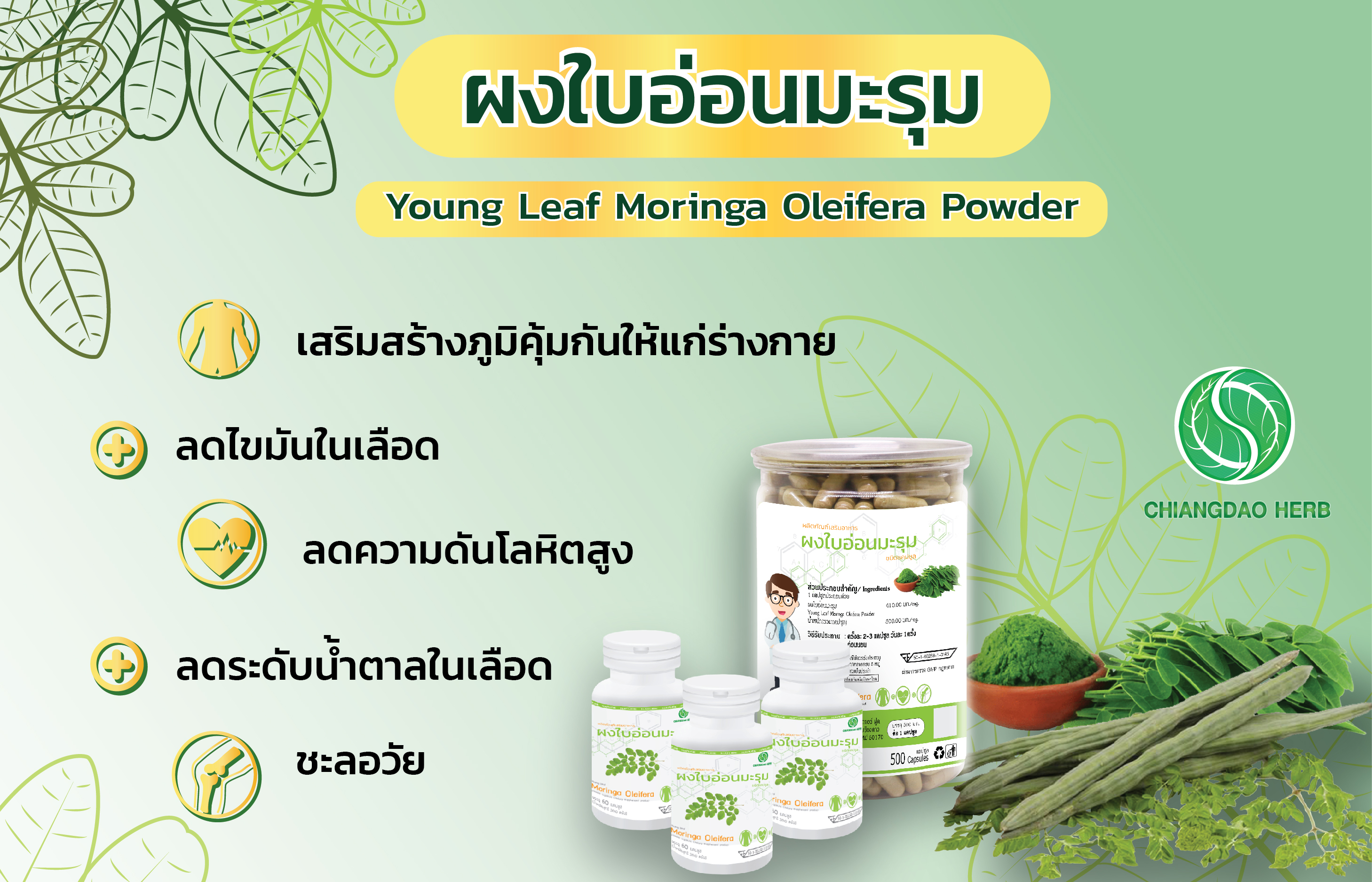 ข่ายส่งสมุนไพรมะรุม