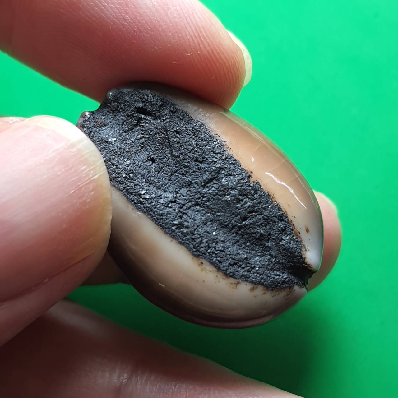 ของป้องกัน ถุงยันต์กันภัย108 ในถุงมี ท้าวเวสสุวรรณ ตะกรุดว่านกันภัย108 เบี้ยแก้บรรจุปรอท ป้องกันสิ่งที่มองไม่เห็น