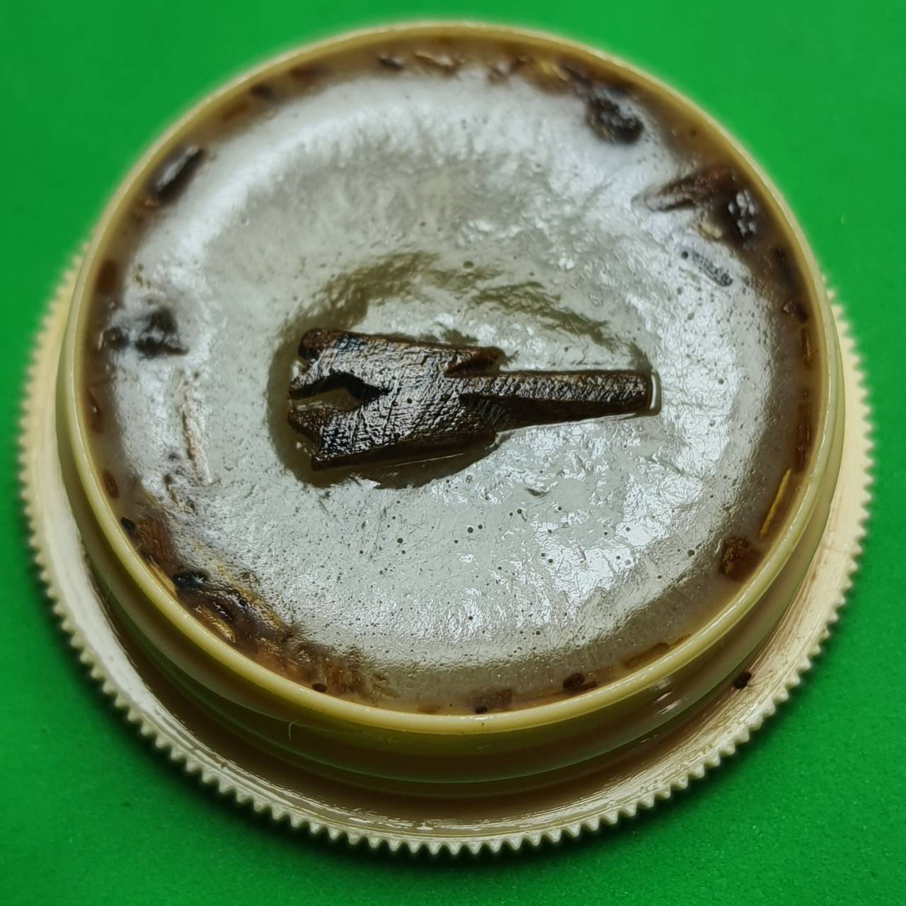 ของนำโชค สีผึ้งค้าขาย สาริกาไม้มะยมตายพราย สีผึ้งของแท้ สีผึ้งแท้ สีผึ้งโชคลาภ สาริกาลิ้นทอง สาริกามหาเสน่ห์ สาริกามหาลาภ สาริกาค้าขาย