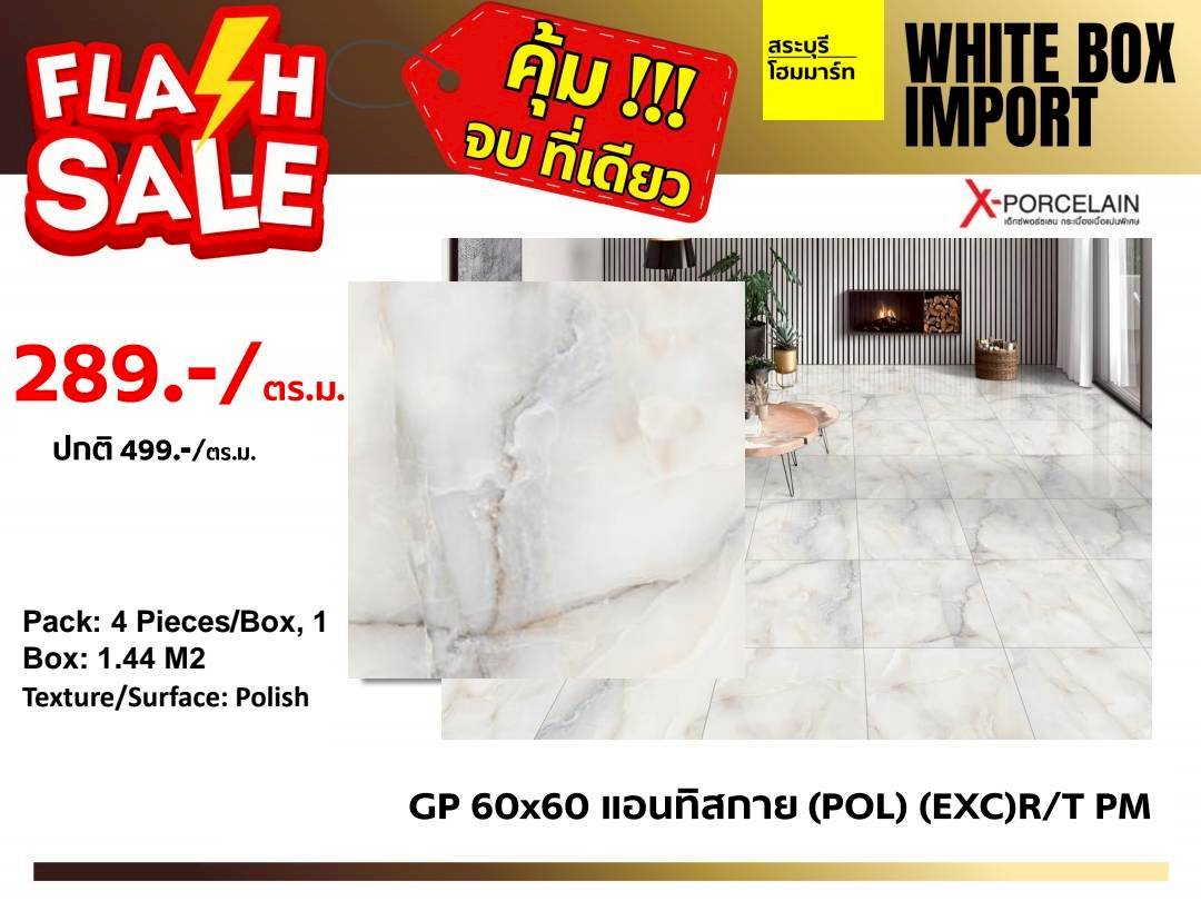 GP 60x60 แอนทิสกาย (POL) (EXC)R/T PM