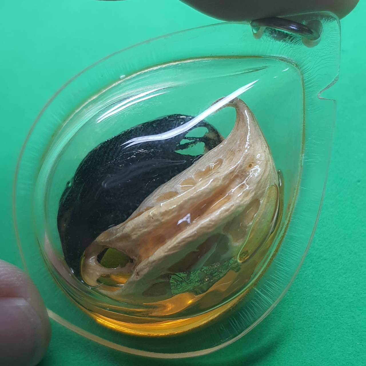 ของป้องกัน เล็บครุฑแบบกรอบคู่ใส่น้ำมัน เล็บครุฑ พญาเล็บครุฑ ของแท้ จี้พญาเล็บครุฑ