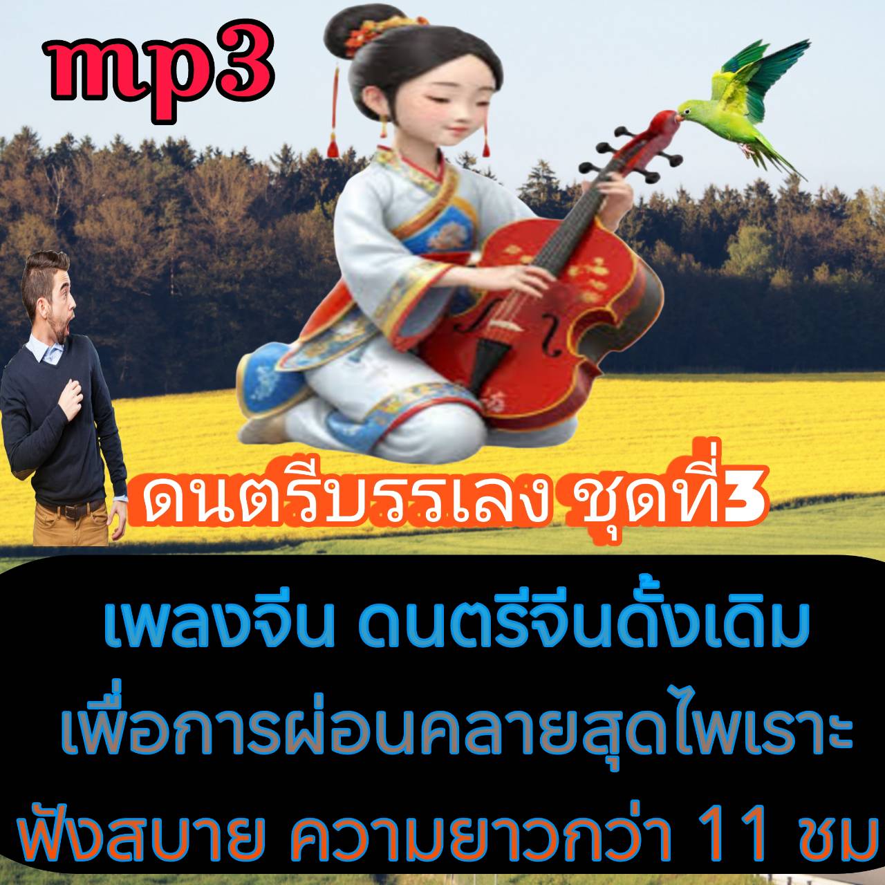 [พรเทวะ] แฟลชไดร์ฟ USb mp3 ดนตรีบรรเลง ชุดที่ 3 เพลงจีน ดนตรีจีนดั้งเดิม เพื่อการผ่อนคลาย สุดไพเราะ ฟังสบาย ความยาวกว่า 11 ชม. ใช้กับเครื่องเล่น USB/mp3 ทุกชนิดหรือเปิดฟังในรถยนต์เปิดในคอมพิวเตอร์ได้ *** สามารถ โหลดใส่มือถือ ฟังได้ ** เปิดในคอมพิวเตอร์ได้