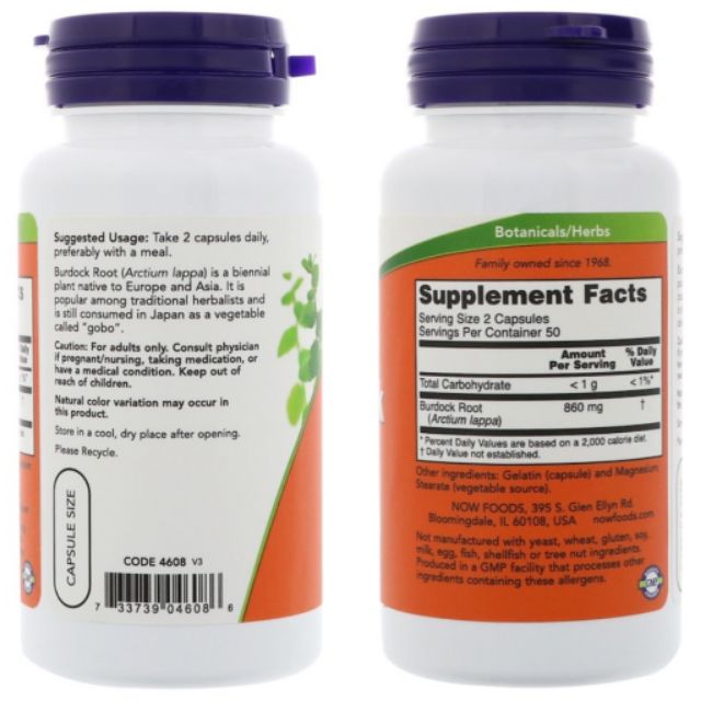 รากโกโบ, Burdock Root