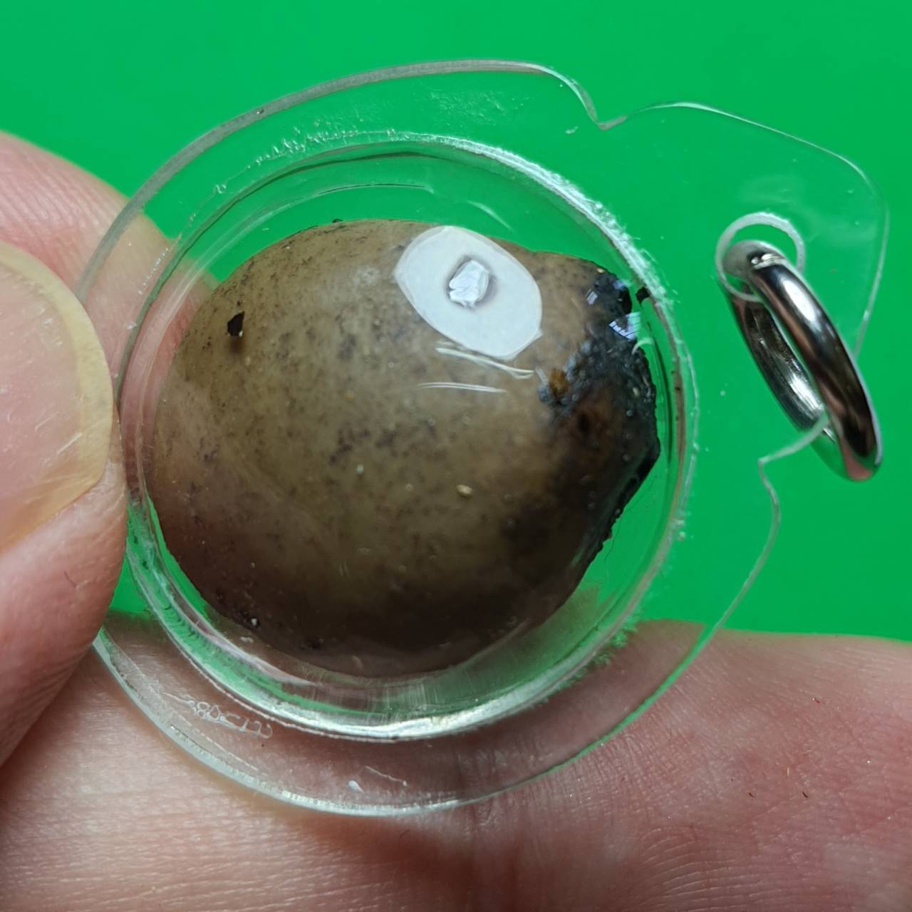 ของเสน่ห์ ลูกสวาทมหาเสน่ห์รุนแรง เลี่ยมกรอบ อุดด้วยว่านเสน่ห์รุนแรงมากถึง 54 ชนิด ลูกสวาทแท้ จี้ลูกสวาท ลูกสวาท