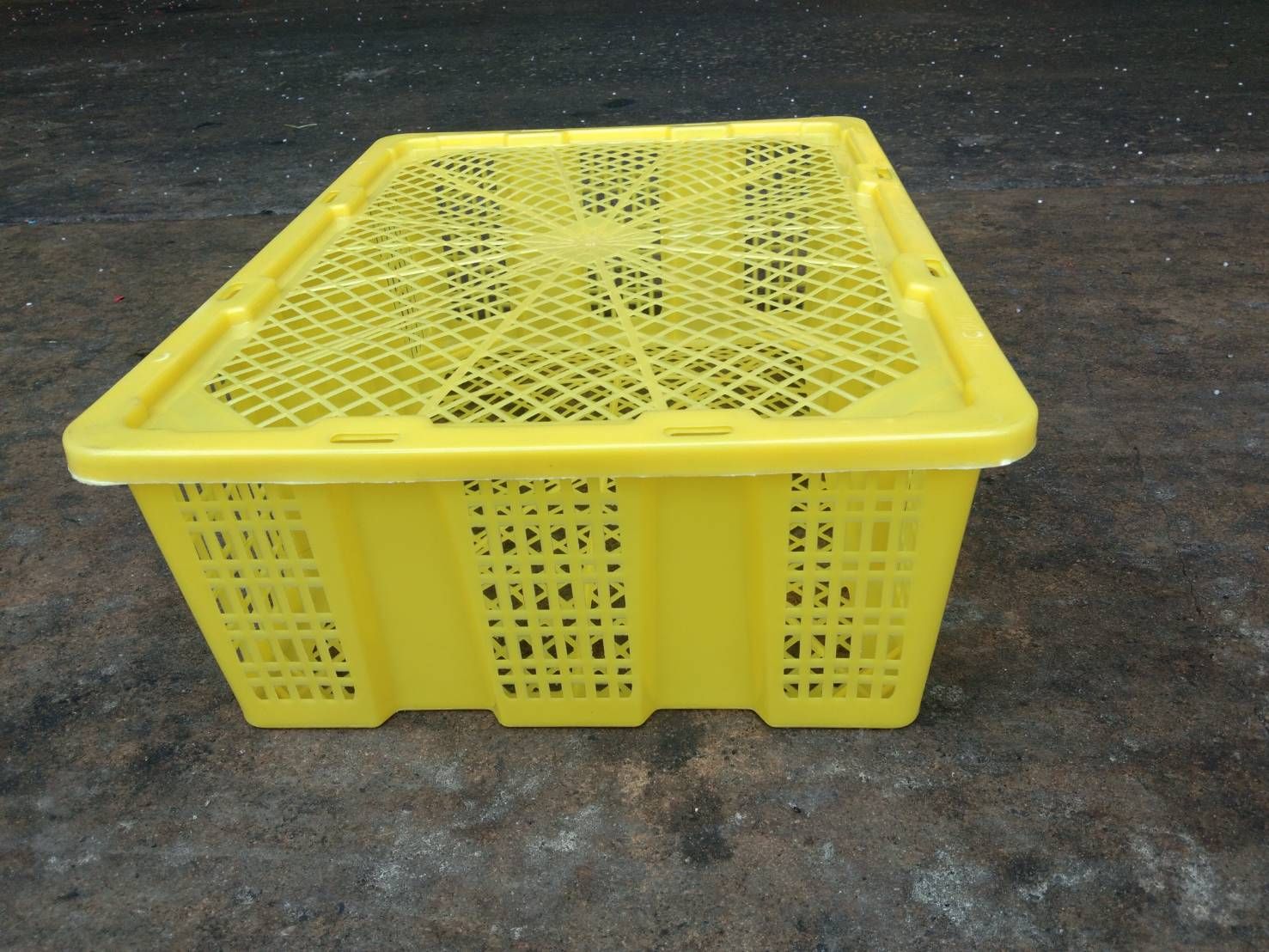 ตะกร้ามังคุด 006R