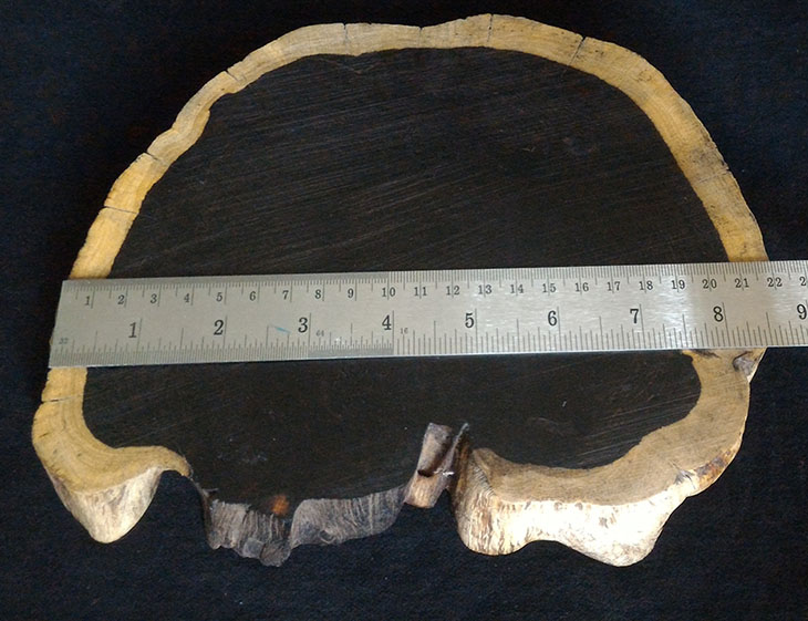 ฐานไม้มะเกลือ(African Ebony) หนา 3cm แบบที่1ตัดเว้า (ตัวอย่าง)