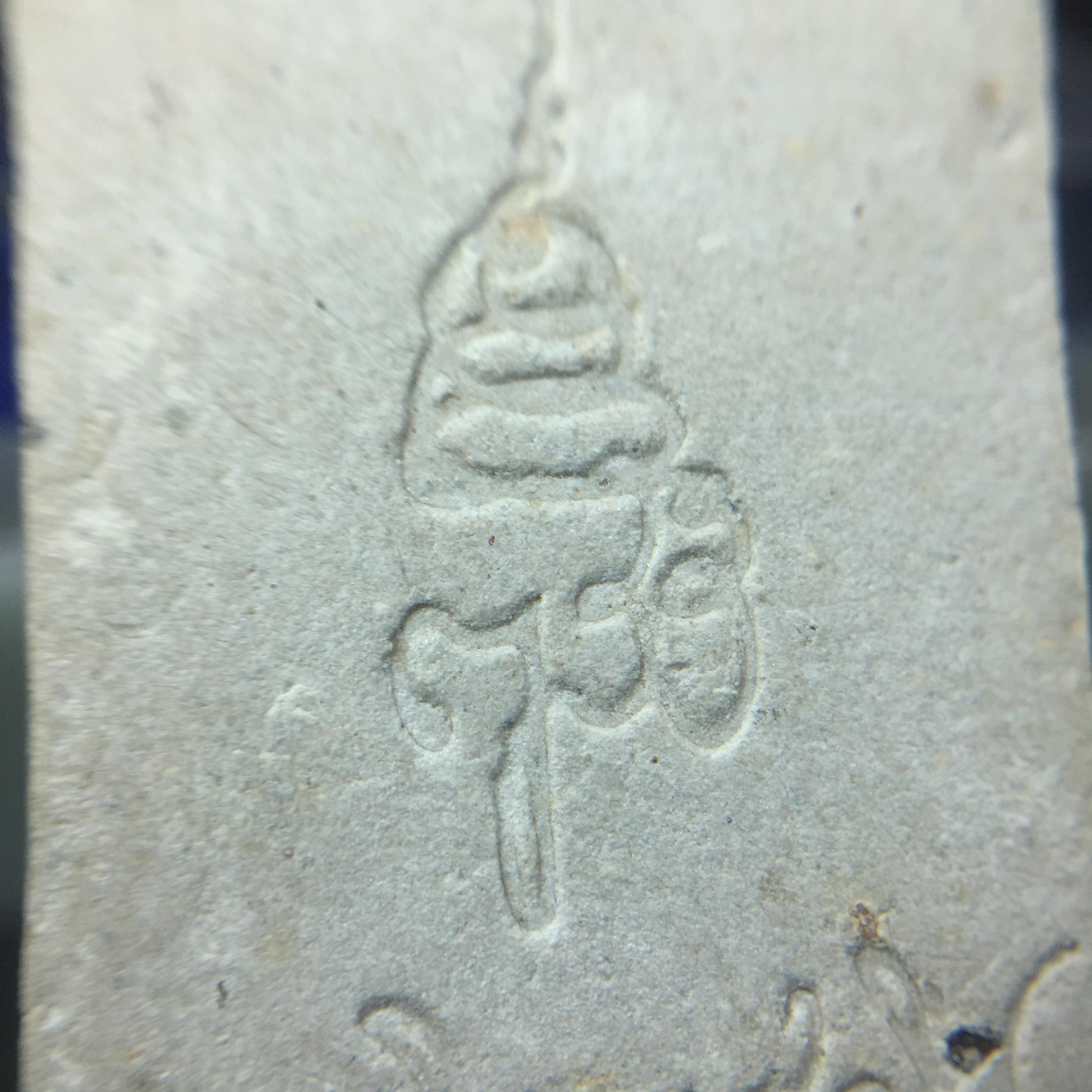 พระพุทธชินสีห์ ภปร. ทันโต เสฏโฐ ปี2533 พิมพ์เล็ก(หายาก) บรรจุพระทนต์ในหลวง รุ่นเดียวในประวัติศาสตร์ ****รุ่นนี้ขอแนะนำ****