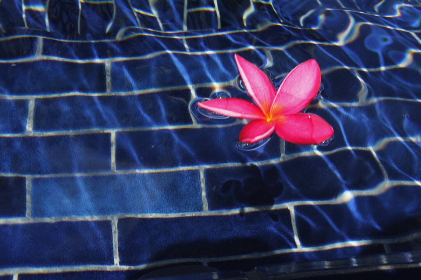 For Rent : Samkong,The Base Heiht 1 Bedroom 1 Bathroom, 9th Floor, City View.