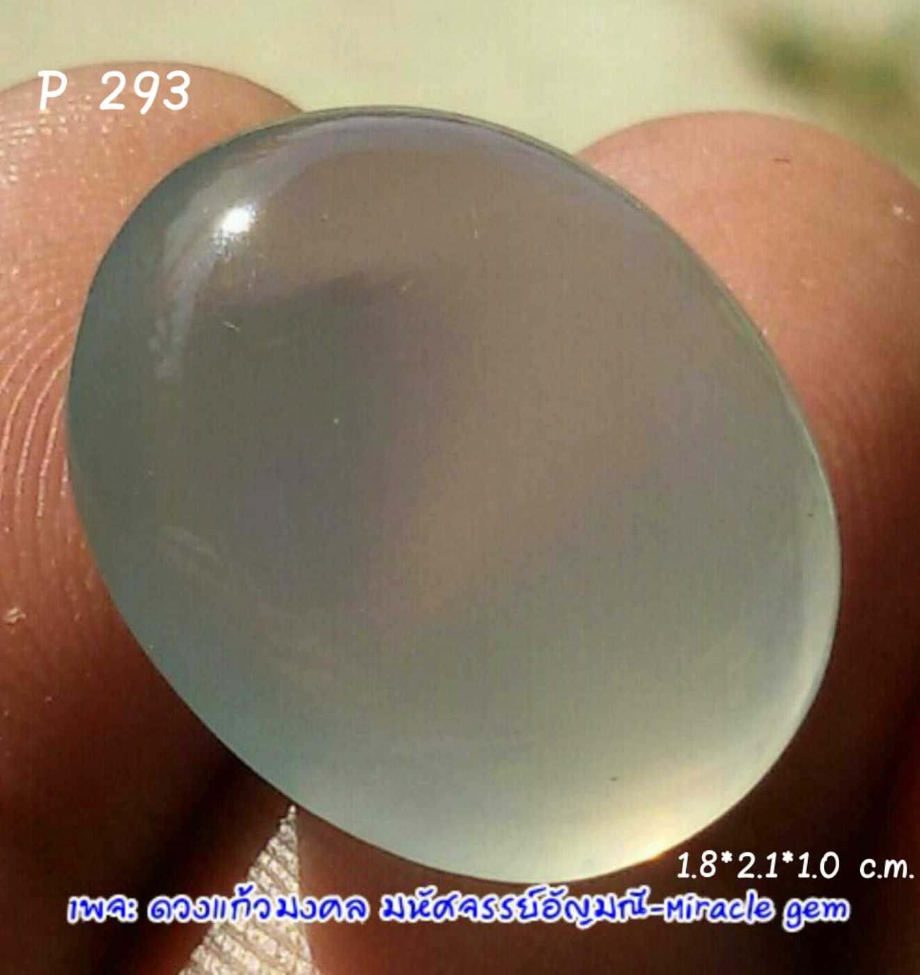 P293 แก้วหมอกมุงเมือง
