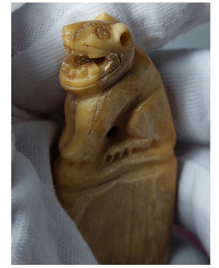 เขี้ยวหมูป่าแกะเสือ--T2580-B