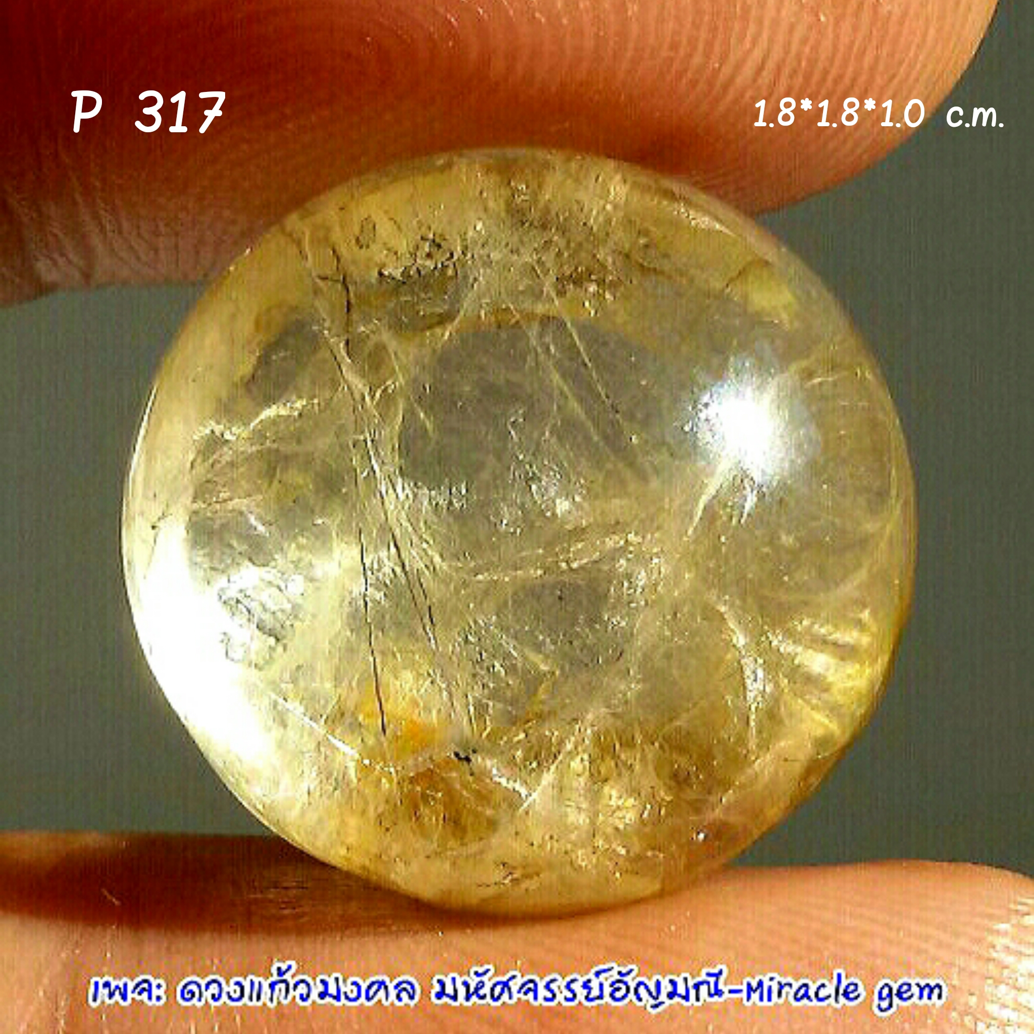 P317แก้วกาบสลักติดใย