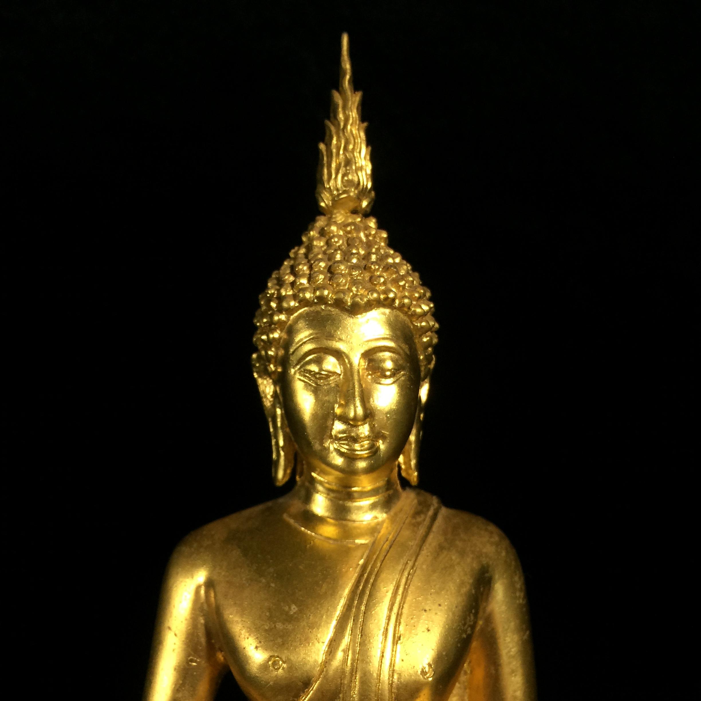 พระพุทธมหากรุณานภาพลพิทักษ์ พระพุทธรูปประจำโรงเรียนนายเรืออากาศ ปี 2540 หน้าตัก 5นิ้ว หมายเลข 197 สมเด็จพระสังฆราชเจ้า กรมหลวงวชิรญาณสังวร(สมเด็จพระสังฆราชองค์ที่19)ทรงถวายพระนาม(หายาก)