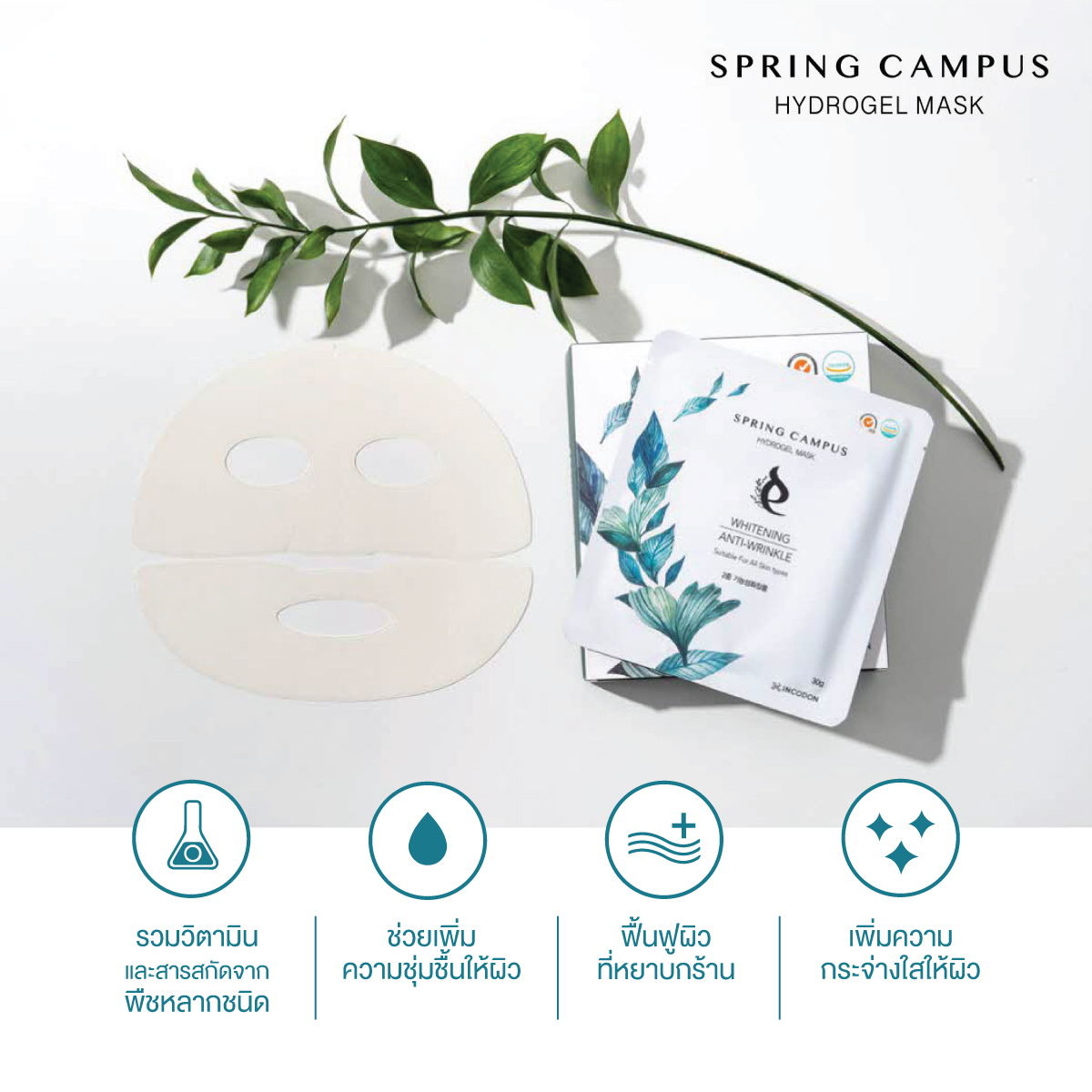 มาร์กหน้า SPRING CAMPUS HYDROGEL MASK นำเข้าจากเกาหลีใต้