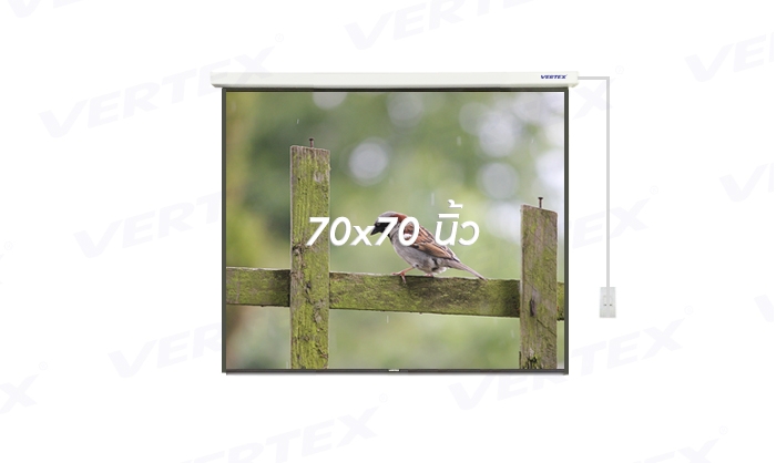 จอรับภาพโปรเจคเตอร์ แบบมอเตอร์ไฟฟ้า ยี่ห้อ Vertex ขนาดทแยงมุม 70x70 นิ้ว (1:1)