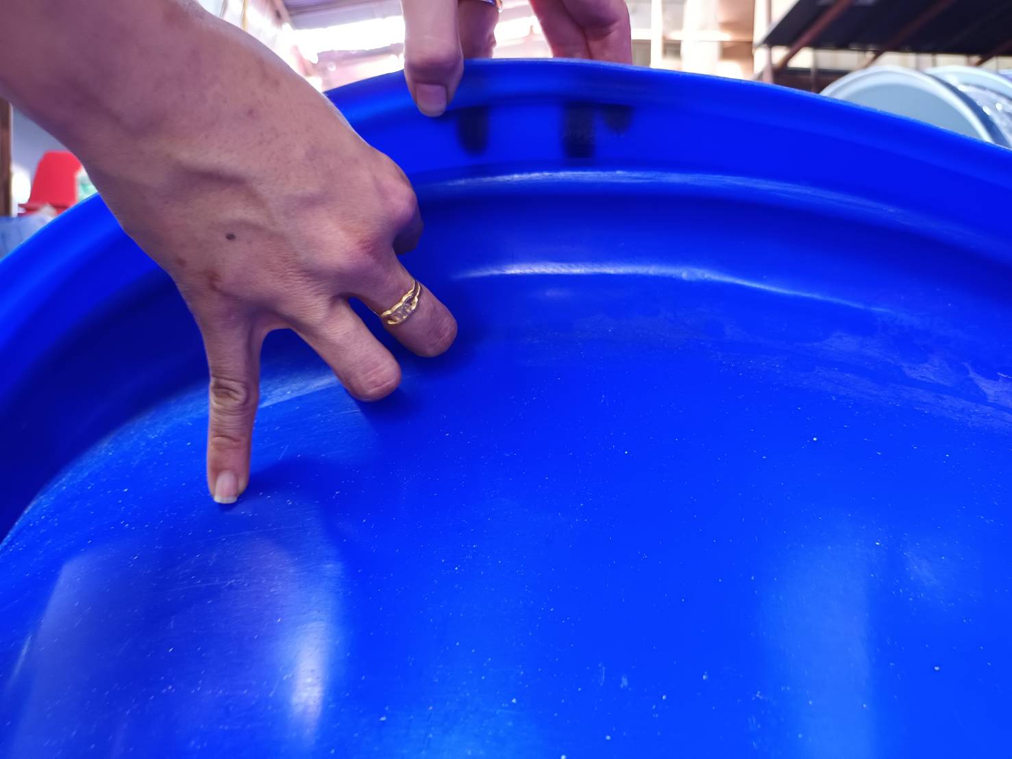 ถังกลมปากกว้าง 100 ลิตร ทรงเตี้ย