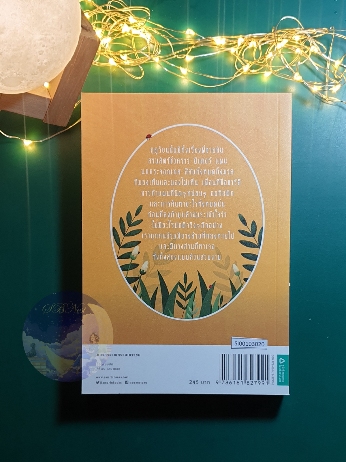 นกกระจอกเทศกับสิ่งที่หลงหายและพี่ชายของฉัน (The Ostrich and Other Lost Things) / Beth Hautala (เบท โฮตาลา)