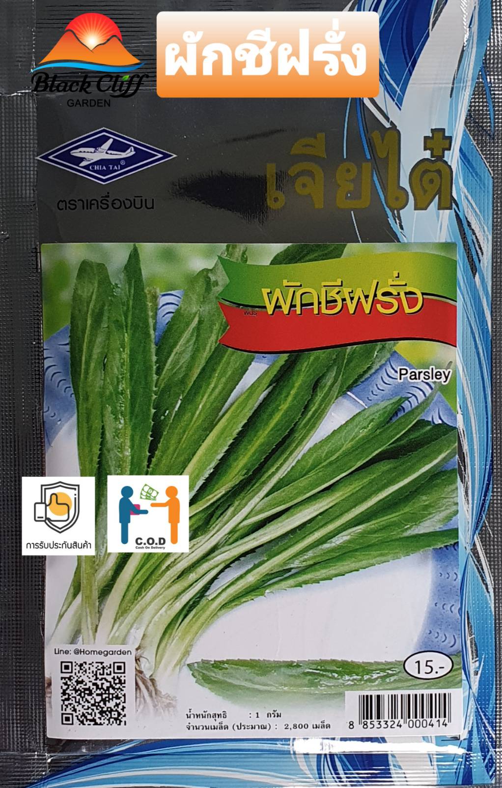 ผักชีฝรั่ง parsley เมล็ดพันธุ์พืช ผัก เมล็ดพันธุ์ผัก พืช ต้นไม้ ผักสวนครัว 2,800 เมล็ด อัตราการงอก 98% ปลูกผักทานเองที่บ้าน อาหารเพื่อคนรักสุขภาพ