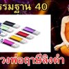 [พรเทวะ] MP3 USB FLASH DRIVE กรรมฐาน 40 หลวงพ่อฤาษีลิงดำ