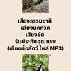 เสียงธรรมชาติ เสียงนกกวัก เสียงชัด รับประกันคุณภาพ (เสียงต่อสัตว์ ไฟล์ MP3)