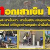 บริษัทรับเหมาตอกเสาเข็ม ไมโครไพล์ เสาเข็มเจาะ เสาเข็มสปัน เน้นคุณภาพ รวดเร็วทันเวลา ราคาโรงงานกดเข็มไฮโดรลิคไมโครไพล์ แก้ปัญหาบ้านทรุดตัว เข้าพื้นที่แคบได้ ดูหน้างานฟรี ผลงานของเรา เสาเข็ม เสาเข็มเจาะ บริษัทรับตอกเสาเข็มไมโครไพล์ เสาเข็มตอก รับตอกเสาไมโคร
