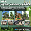 จัดสวนหินโทร 096-8588145 จัดหาต้นไม้มงคล หินจัดสวน หินกาบ หินน้ำตก ญ้านวลน้อย หญ้าญี่ปุ่น ,