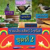 [พรเทวะ] แฟลชไดร์ฟ Mp3 เสียงธรรมชาติ รวมเสียงสัตว์ 5 ชนิด ชุดที่ 2 เสียงคมชัด ความยาวเสียงละ 1-2 ชั่วโมง 1.นกอีลุ้ม 2.นกพริก 3.นกโป้งวิด 4.นกเขาใหญ่ 5.นกเขาชวา ใช้กับเครื่องเล่น USB/mp3 ทุกชนิดหรือเปิดฟังในรถยนต์เปิดในคอมพิวเตอร์ได้ *** สามารถ โหลดใส่มือถ