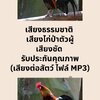 เสียงธรรมชาติ เสียงไก่ป่าตัวผู้ เสียงชัด รับประกันคุณภาพ (เสียงต่อสัตว์ ไฟล์ MP3)