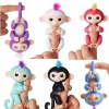ลิงเกาะนิ้ว Fingerlings Baby Monkeys เกรด AA