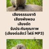 เสียงธรรมชาติ เสียงพังพอน เสียงชัด รับประกันคุณภาพ (เสียงต่อสัตว์ ไฟล์ MP3)