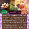 [พรเทวะ] แฟลชไดร์ฟ USb Mp3 ดนตรีบำบัด สำหรับร้านวด ร้านสปา Relaxing Music Spa Music ผ่อนคลาย บำบัดความเครียด ความวิตกกังวล สงบจิตใจหยุดคิดมากเกินไป เพลงกล่อมนอน ฟังแล้วหลับง่ายขึ้น ลดภาวะภาวะซึมเศร้า ยาวกว่า 10 ชั่วโมง ชุดที่ 5 ใช้กับเครื่องเล่น USB/mp3 ท