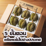 5 วิธีแพ็คผลไม้ให้สดใหม่และปลอดภัย เมื่อคุณต้องการส่งไปต่างประเทศ: