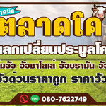 รถขนวัว โทร 088-9952629 วัว ควาย รถรับจ้างขนสัตว์ ขนแพะ ขนแกะ ขนโค ขนกระบือ ขนส่งสัตว์ ทุกชนิด ทั่วประเทศ
