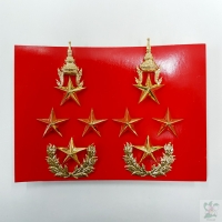 พลเอก ชาย