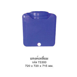 แทงค์น้ำเหลี่ยม TS300/16