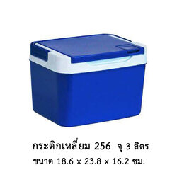 กระติกเหลี่ยม 256 คละสี